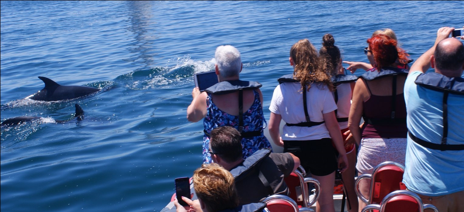 37017935_287652918469209_7558042894972485632_o